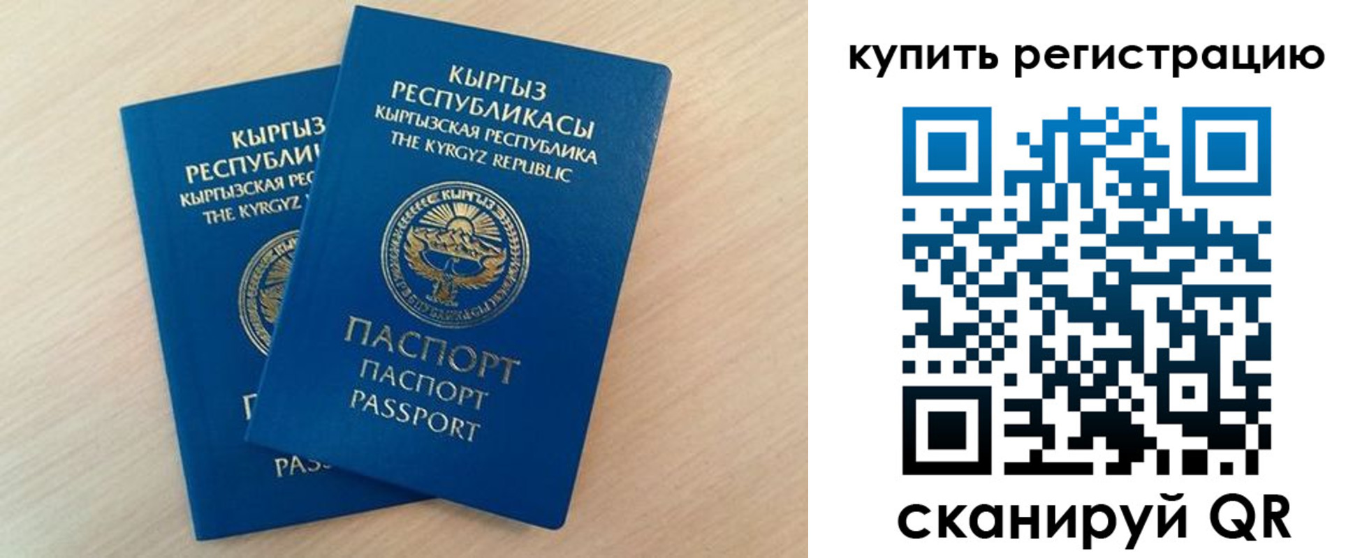 временная регистрация поиск в Волгоградской области